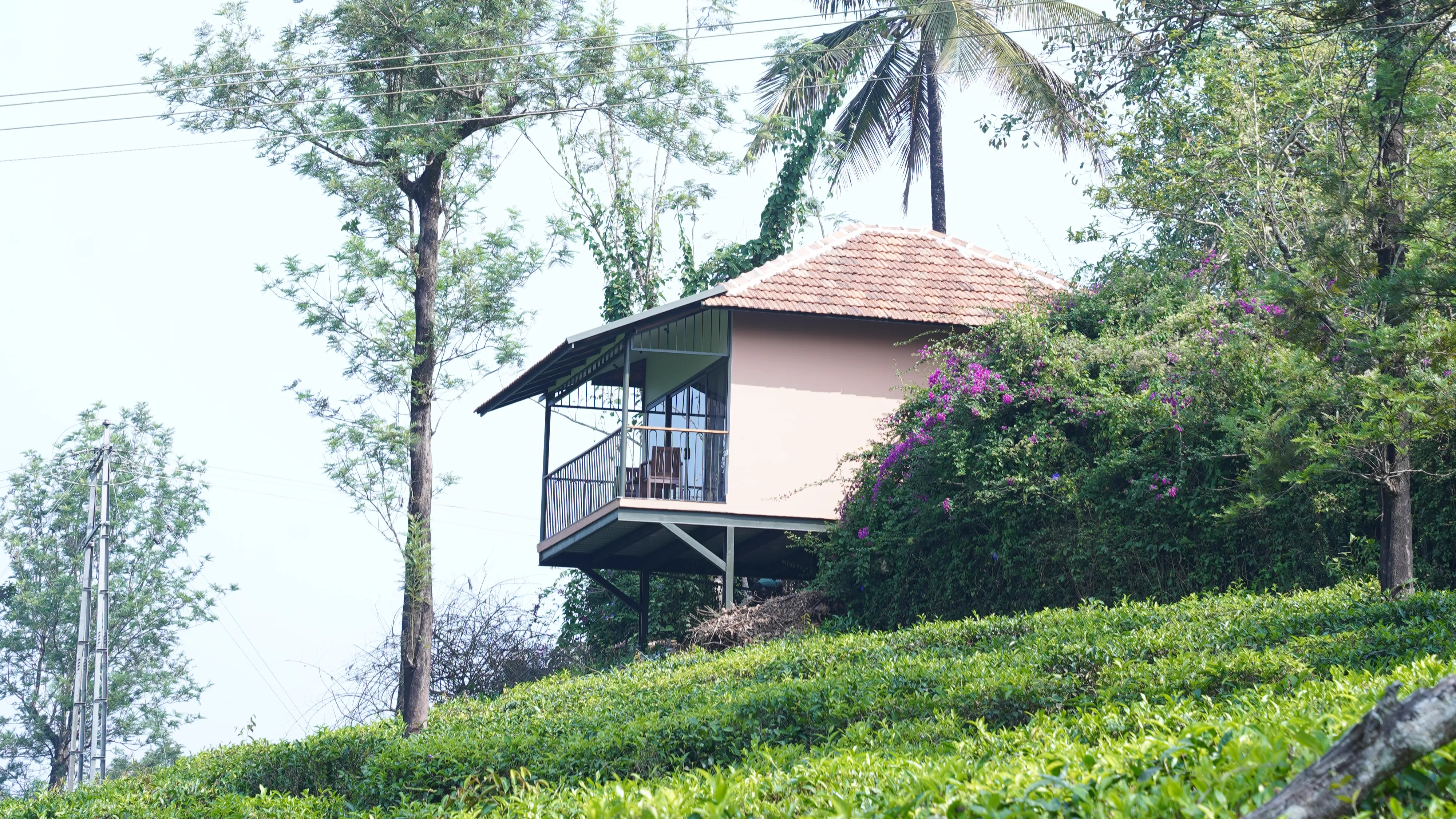 Resort Storytelling: Turning Spaces into Experiences